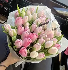 Tulip Bouquet